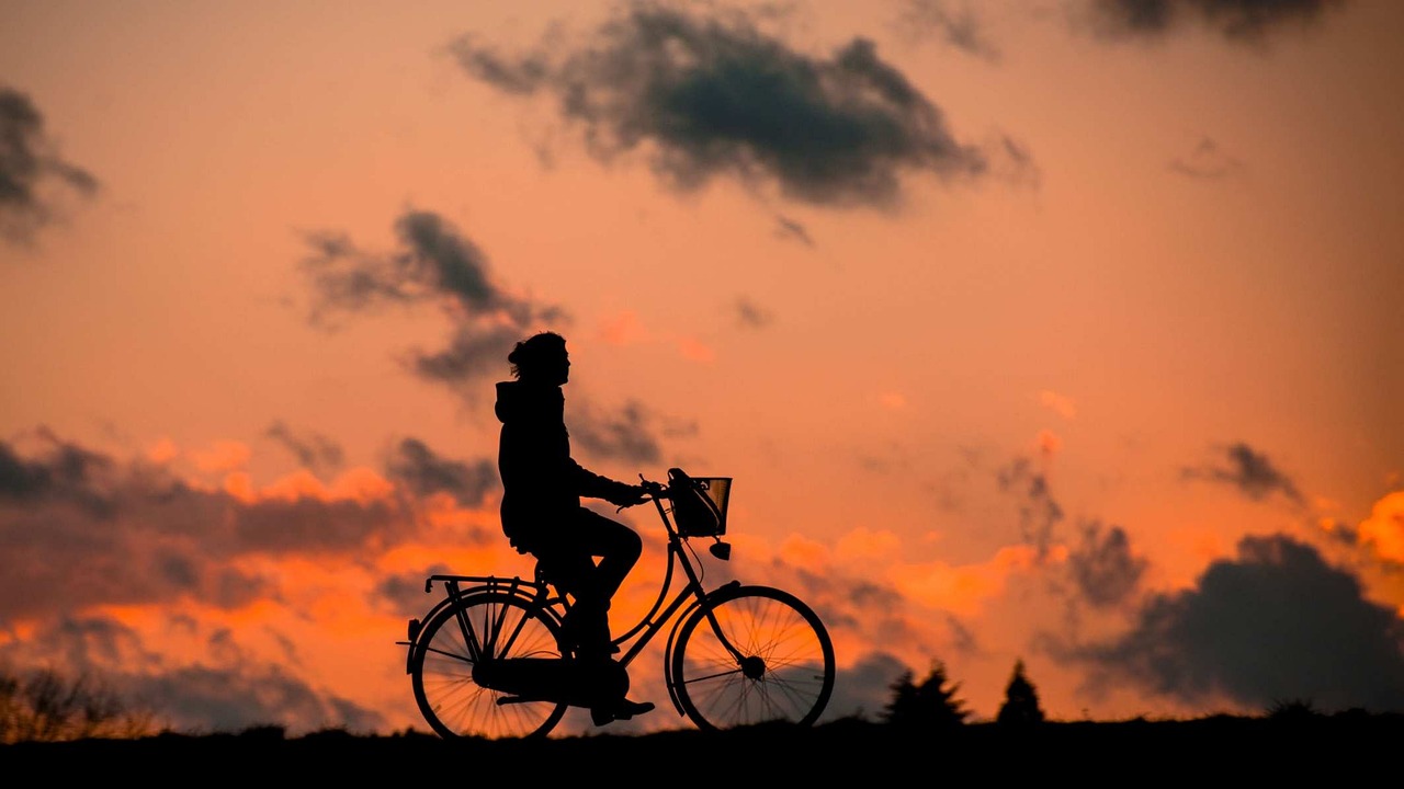 entdecken sie unser umfassendes fitnessprogramm, das auf ihre individuellen ziele zugeschnitten ist. verbessern sie ihre gesundheit, steigern sie ihre fitness und erreichen sie ihre traumfigur mit unserem professionellen coaching und abwechslungsreichen trainingsplänen.