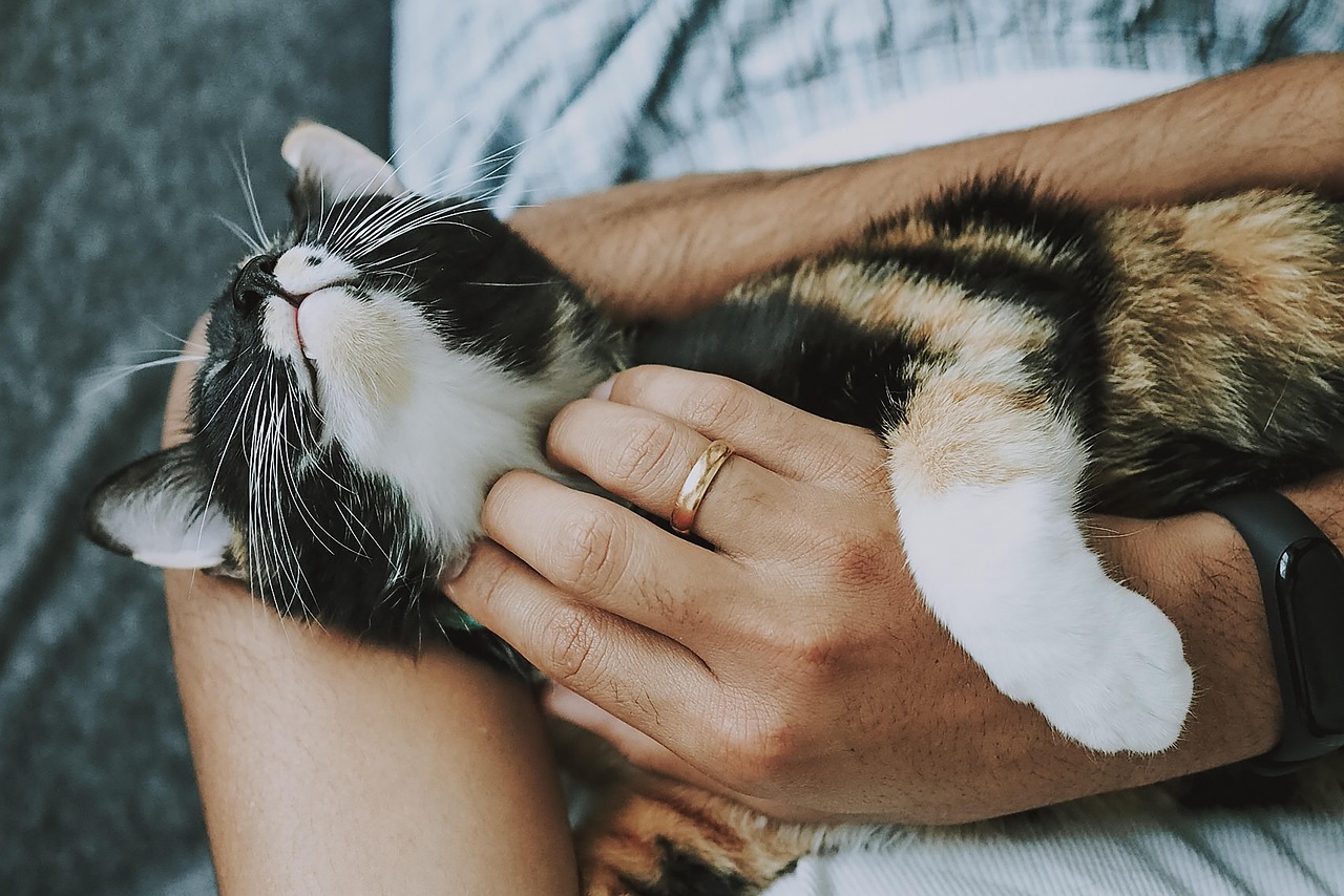 entdecken sie wertvolle pflegetipps und ratschläge, um das wohlbefinden und die gesundheit zu verbessern. holen sie sich expertenrat für eine optimale pflege in jedem lebensbereich.